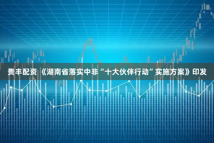 贵丰配资 《湖南省落实中非“十大伙伴行动”实施方案》印发