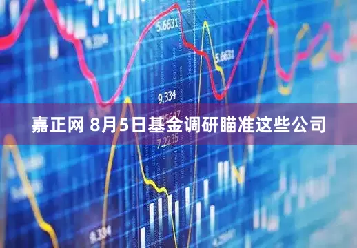 嘉正网 8月5日基金调研瞄准这些公司