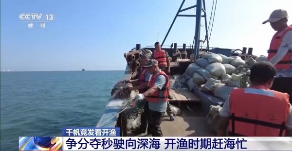 嘉多网 开渔期赶海忙 🦐🐟🦀鲜活海产“游”进市场